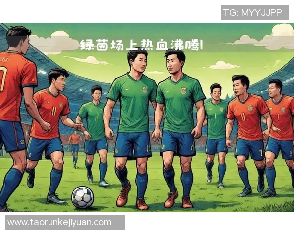 十六球星足球引领绿茵盛宴全面解析明星力量与竞技风采